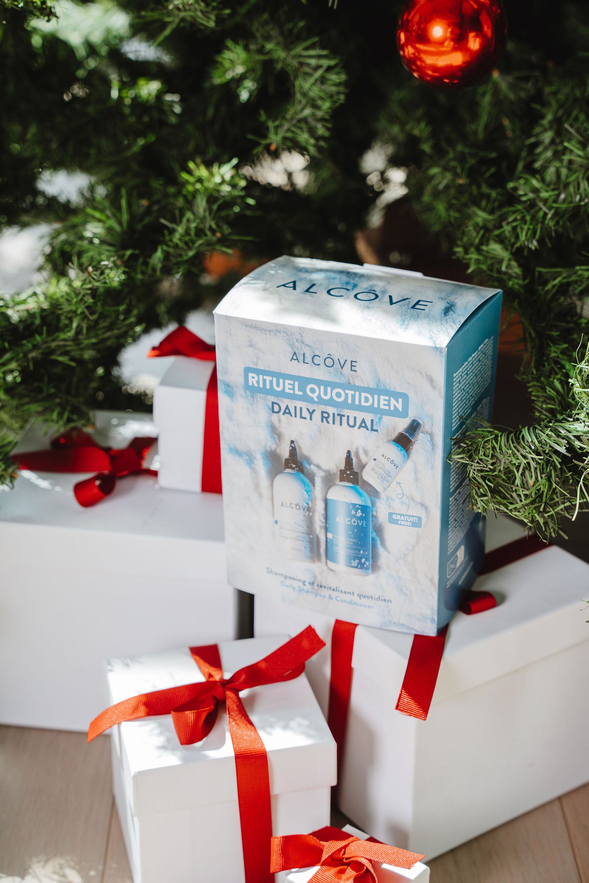 Holiday Daily Ritual Kit - Alcôve Hair