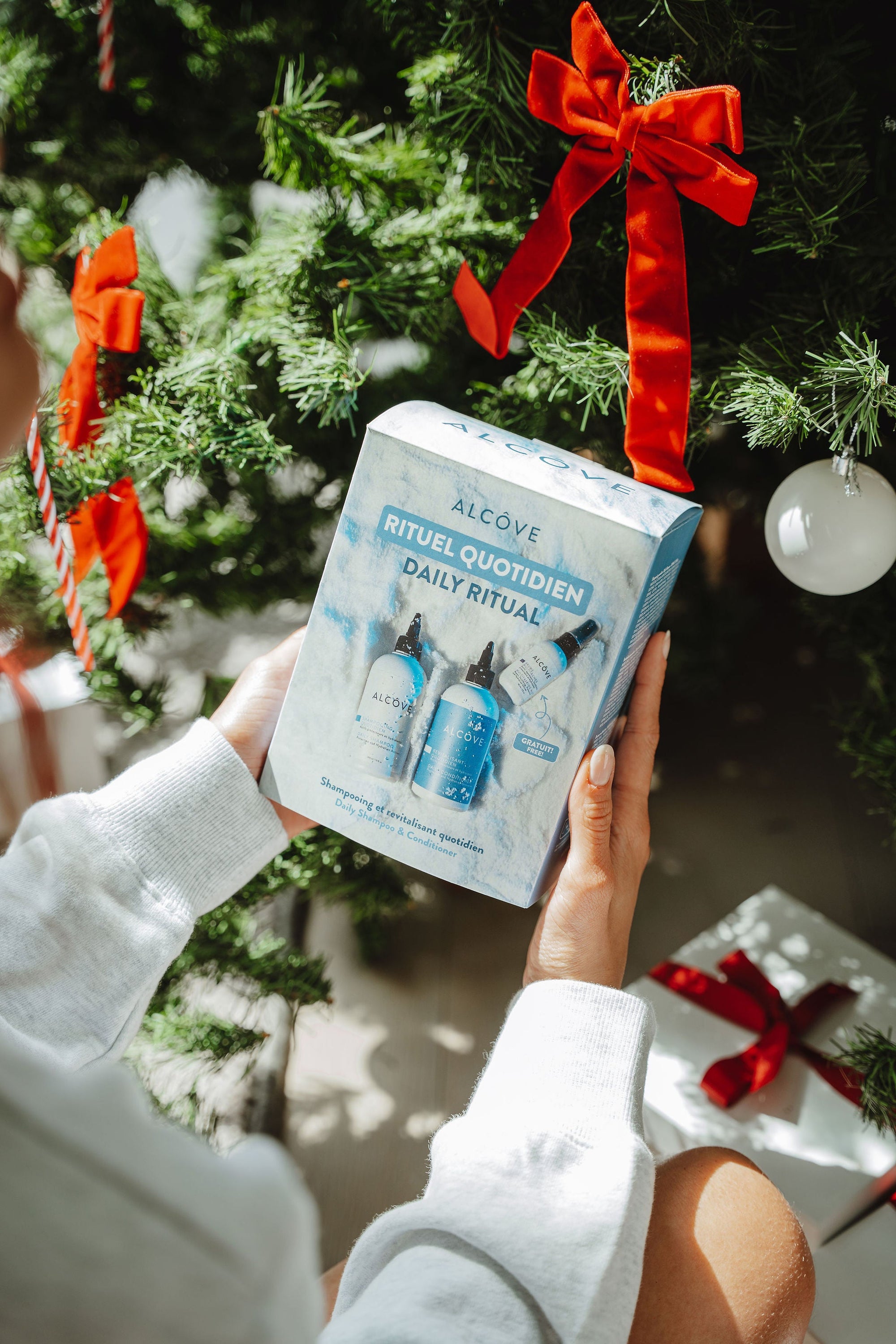 Holiday Daily Ritual Kit - Alcôve Hair