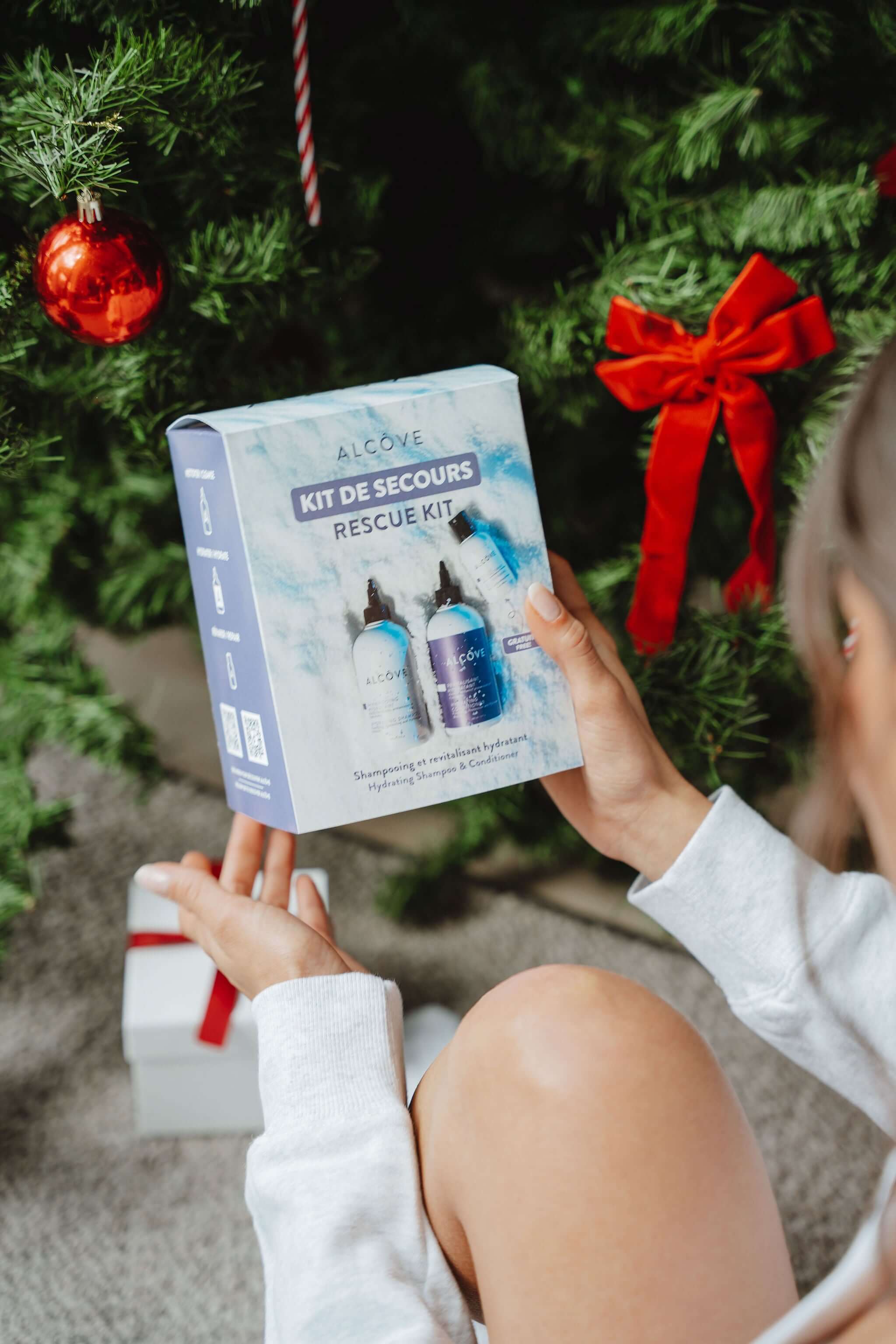 Holiday Rescue Kit - Alcôve Hair
