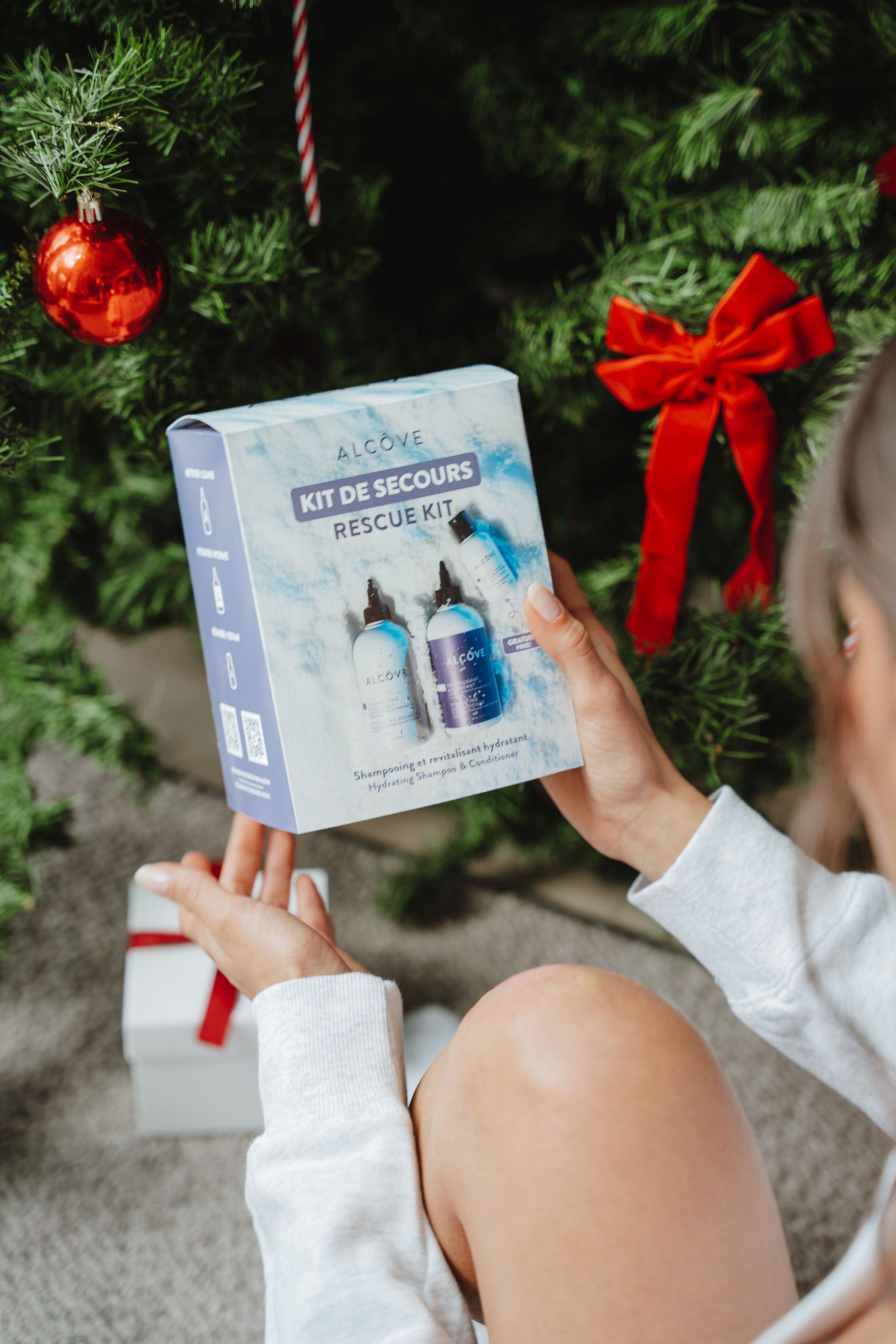Holiday Rescue Kit - Alcôve Hair