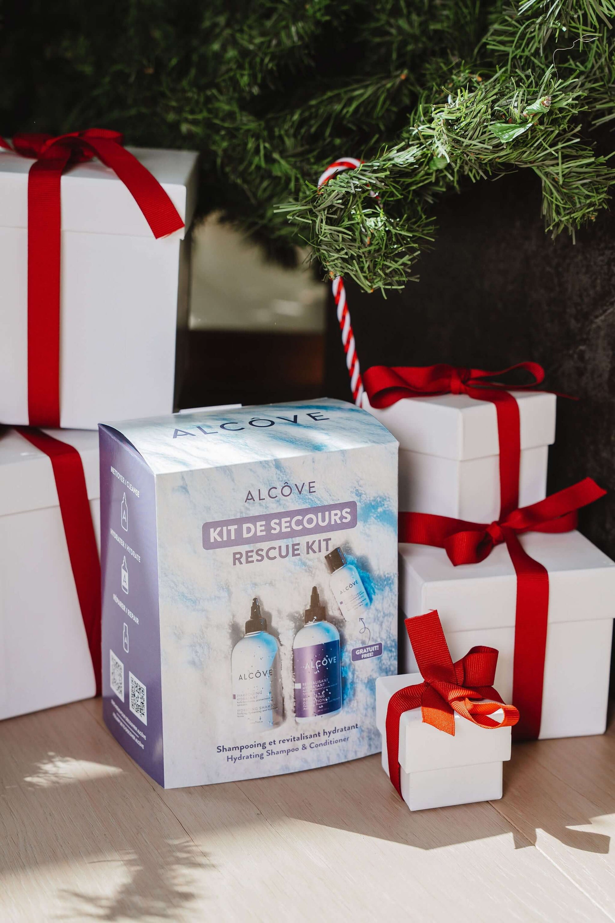 Holiday Rescue Kit - Alcôve Hair